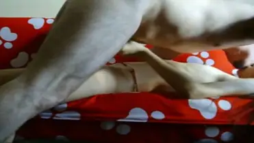 Bokep Indo ABG Bispak Nyewain Diri Servis Mantap poster